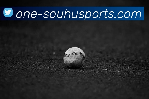 搜狐体育官网首页服务体系